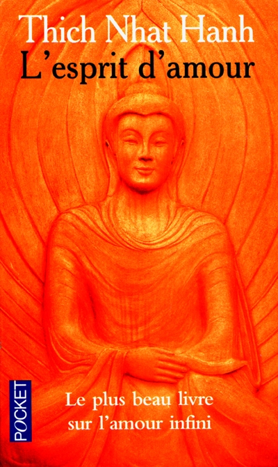 L'esprit d'amour : la pratique du regard profond dans la tradition bouddhiste mahayana