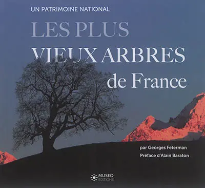 Les plus vieux arbres de France : un patrimoine national