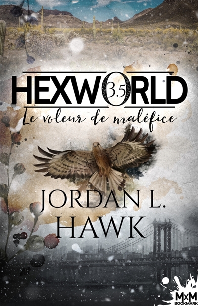 Le voleur de maléfice : Hexworld, T3.5