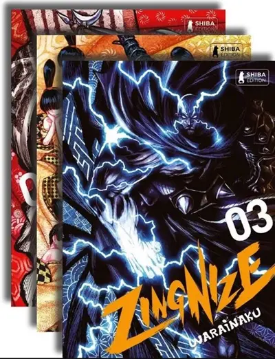 Zingnize : starter pack 2 + 1