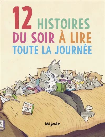 12 histoires du soir à lire toute la journée