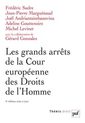 Les grands arrêts de la Cour européenne des droits de l'homme