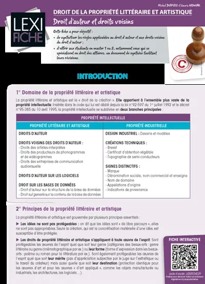 Droit de la propriété littéraire et artistique : droit d'auteur et droits voisins