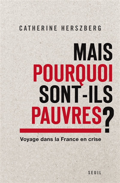 Mais pourquoi sont-ils pauvres ? : voyage dans la France en crise