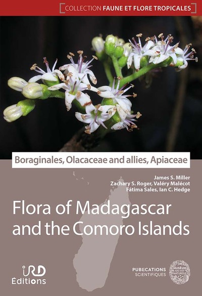 Boraginales, Olacaceae and allies, Apiaceae : flora of Madagascar and the Comoro islands