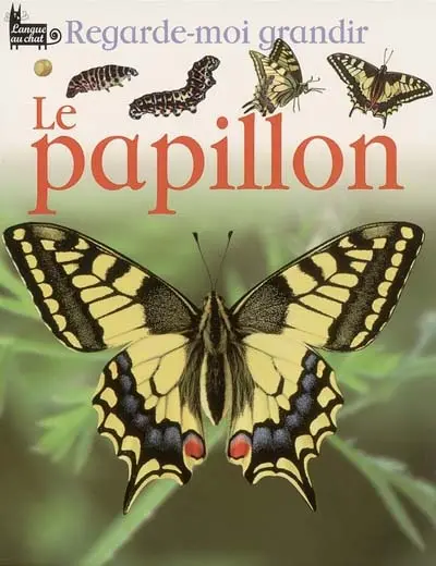 Le papillon
