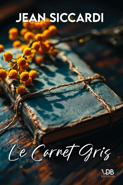 Le carnet gris