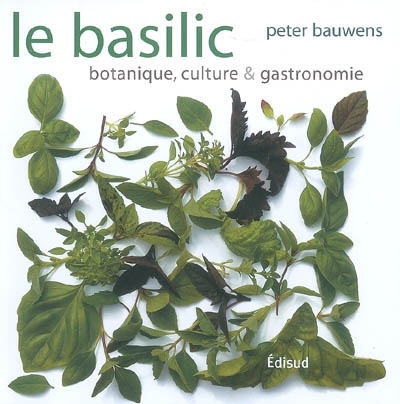 Le basilic : botanique, culture et gastronomie