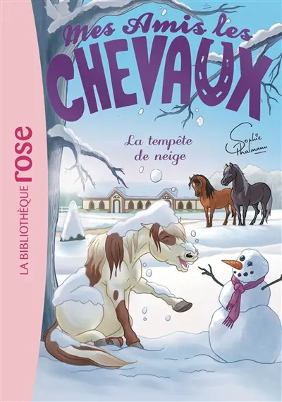 Mes amis les chevaux. Vol. 25. La tempête de neige