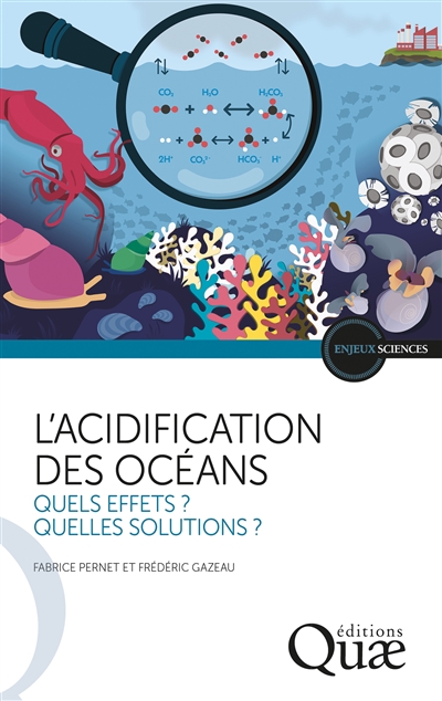 L'acidification des océans : quels effets ? Quelles solutions ?