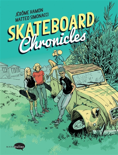 Skateboard chronicles
