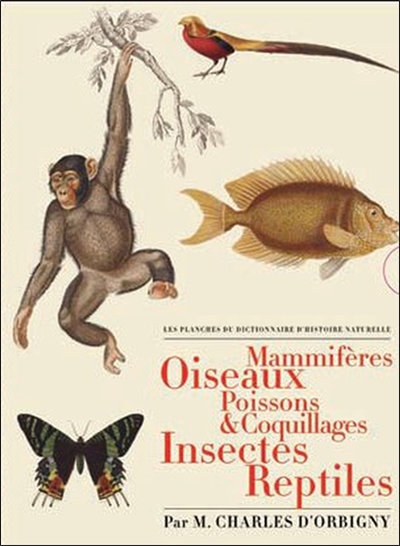 Les planches du Dictionnaire d'histoire naturelle : mammifères, oiseaux, poissons & coquillages, insectes, reptiles