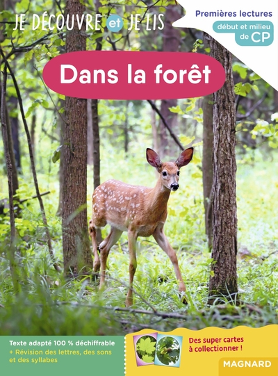 Dans la forêt