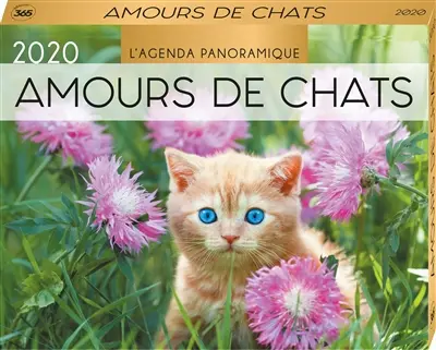 Amours de chats 2020 : l'agenda panoramique