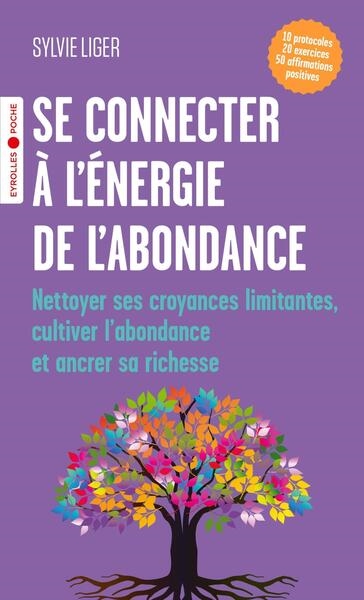 Se connecter à l'énergie de l'abondance : nettoyer ses croyances limitantes, cultiver l'abondance et ancrer sa richesse