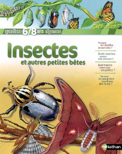 Questions-réponses 6/9 ans : Insectes et autres petites bêtes