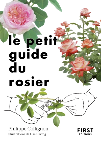 Le petit guide du rosier : 50 variétés à découvrir
