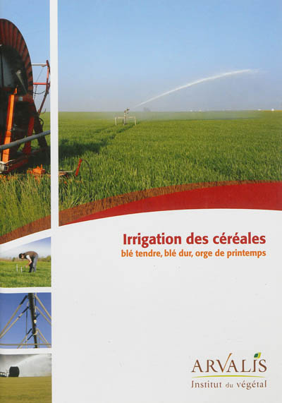 Irrigation des céréales : blé tendre, blé dur, orge de printemps