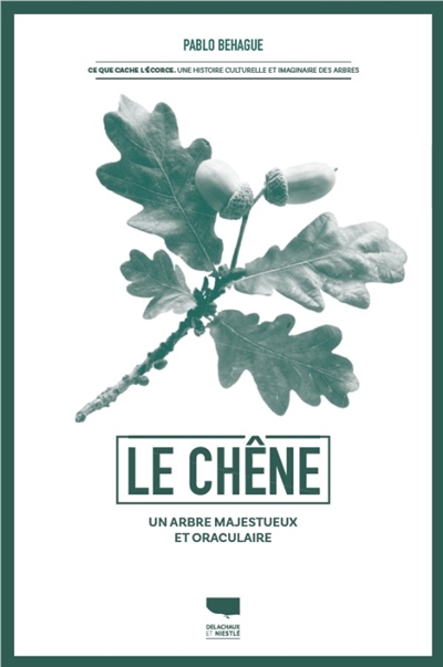 Le chêne : un arbre...