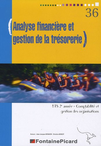 Analyse financière et gestion de la trésorerie : BTS 2e année CGO