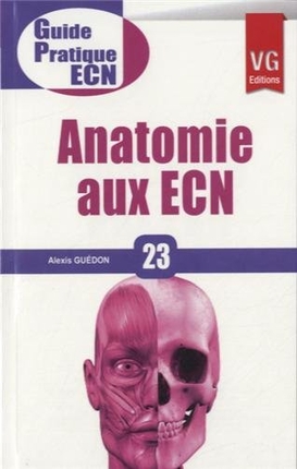 Anatomie aux ECN