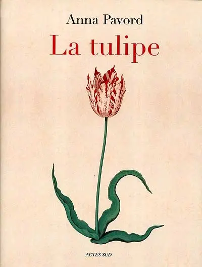 La tulipe