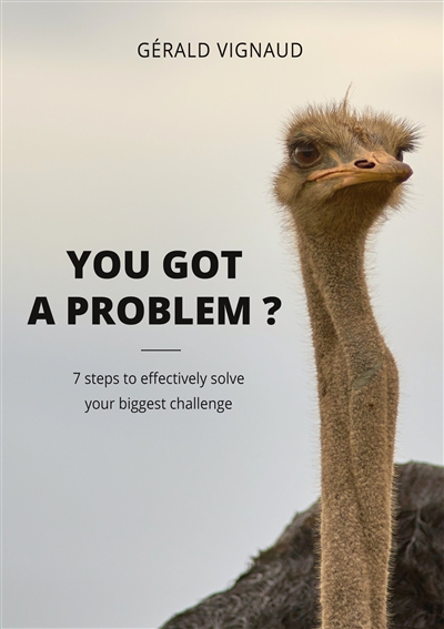You got a problem ? : 7 steps to effectively solve your biggest challenge