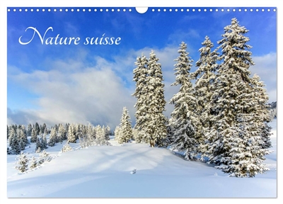 Nature suisse (Calendrier mural 2025 DIN A3 vertical), CALVENDO calendrier mensuel : Les paysages de Suisse, un plaisir pour les yeux !