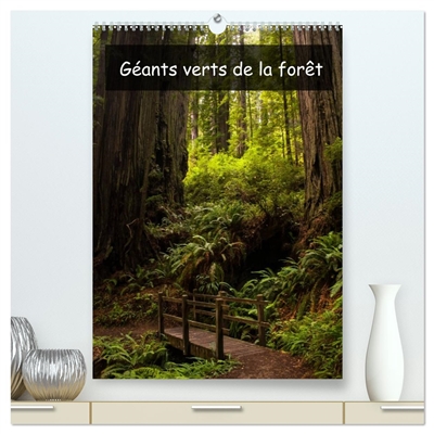 Géants verts de la forêt...