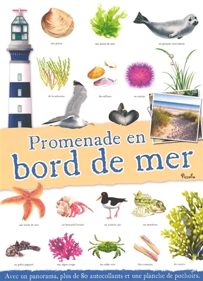 Promenade en bord de mer