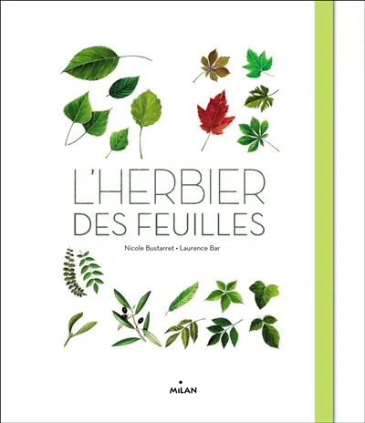 L'herbier des feuilles