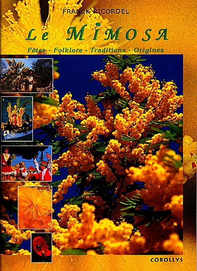 Le mimosa : fêtes, folklore, coutumes et traditions de la Provence méditerranéenne