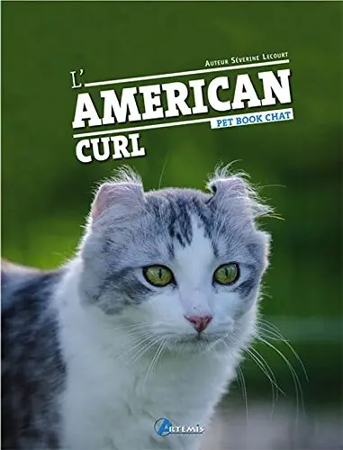 L'american curl