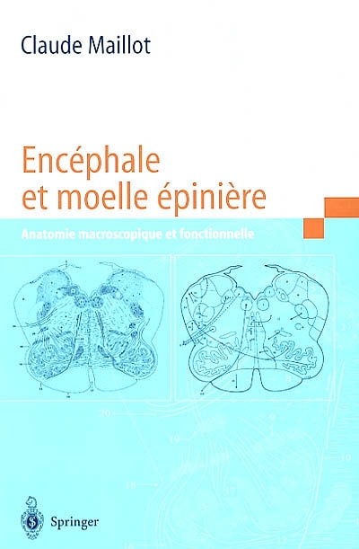 Encéphale et moelle épinière : anatomie macroscopique et fonctionnelle