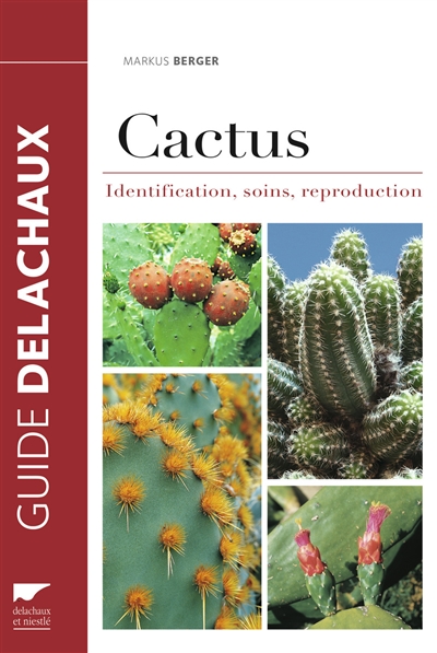 Cactus : identification, soins, reproduction