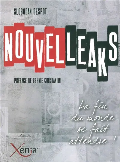 Nouvelleaks : les chroniques 2010-2013
