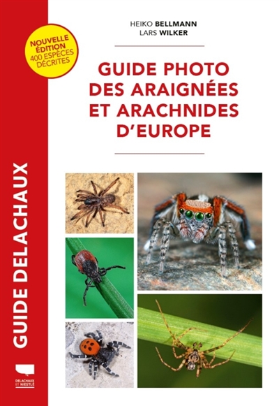 Guide photo des araignées...