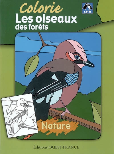 Colorie les oiseaux des forêts