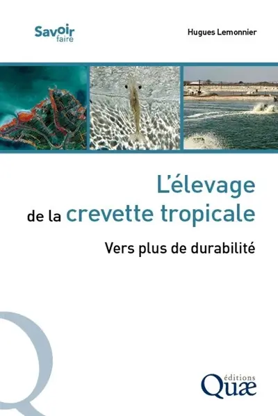 L'élevage de la crevette tropicale : vers plus de durabilité