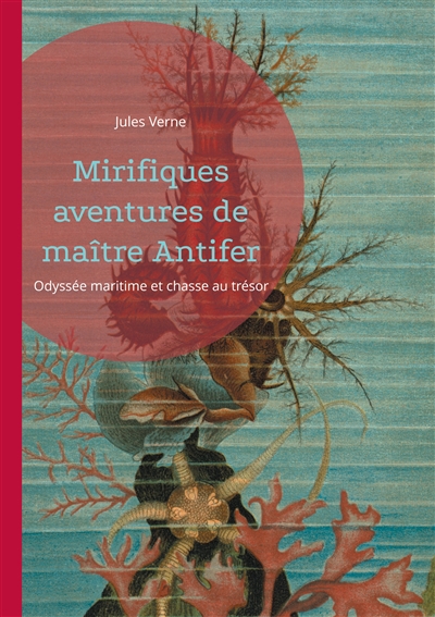 Mirifiques aventures de...