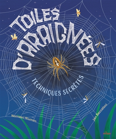 Toiles d'araignées :...