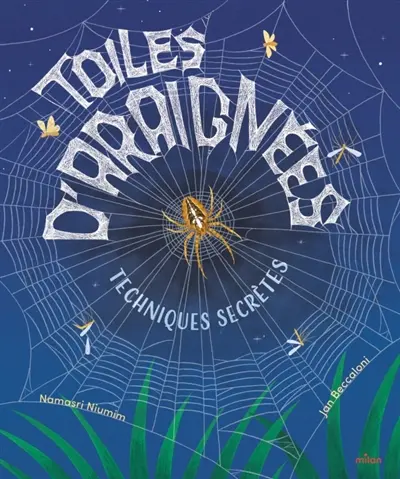 Toiles d'araignées : techniques secrètes