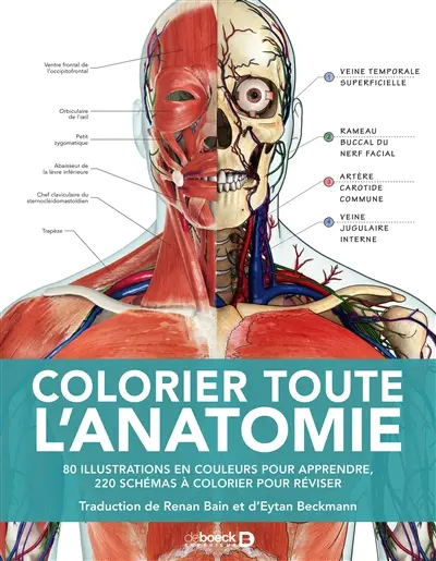 Colorier toute l'anatomie : 80 illustrations en couleurs pour apprendre, 220 schémas à colorier pour réviser