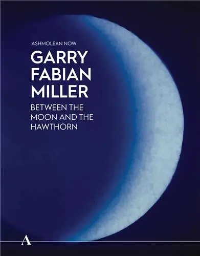 Ashmolean NOW : Garry Fabian Miller : Between the Moon and the Hawthorn