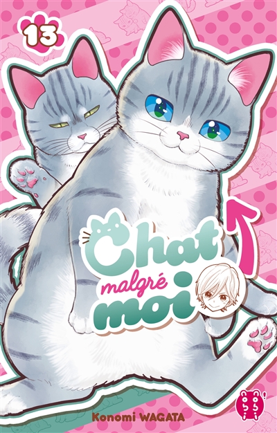 Chat malgré moi, tome 13