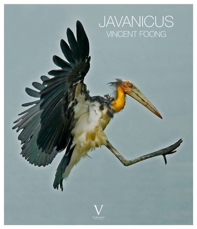 Javanicus : l'art de photographier les oiseaux