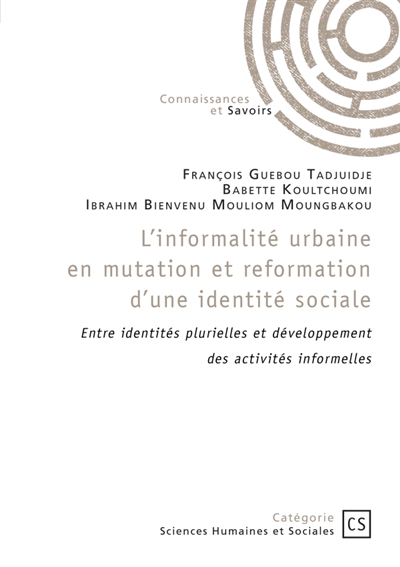 L'informalité urbaine en...