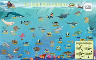 Le fond des océans