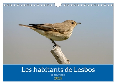 Les habitants de Lesbos Ile...