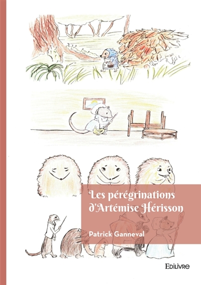 Les pérégrinations...